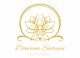 domaine sadeyen great vilbes